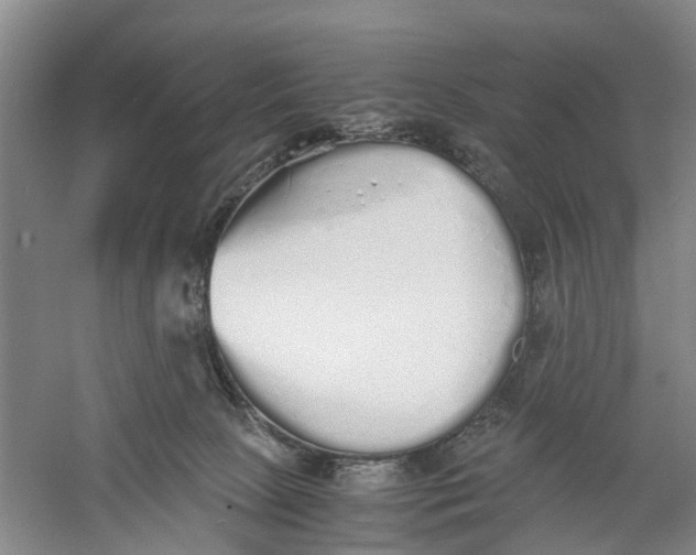 X0000060770081200512011623