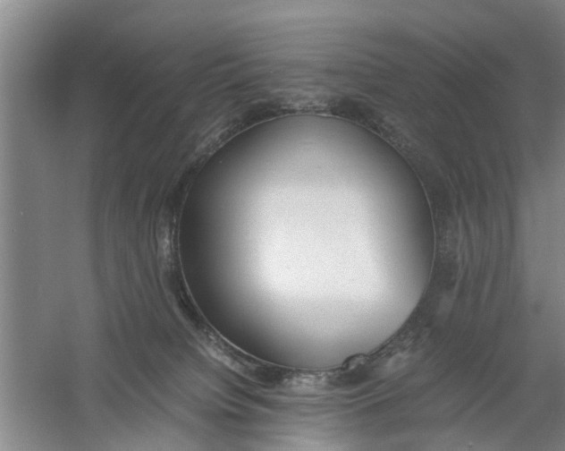 X0000060770084200512011623