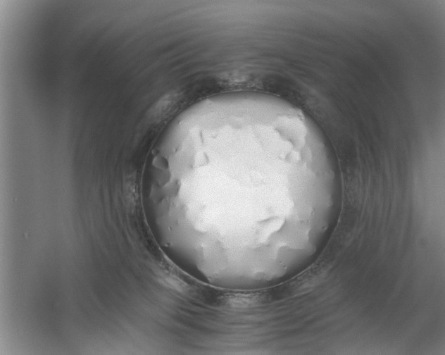 X0000060770085200512011623