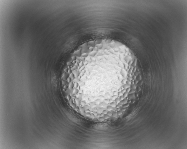 X0000060770086200512011623