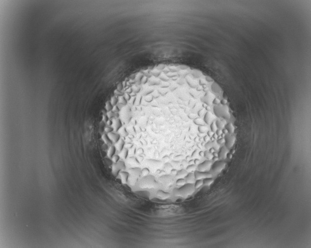 X0000060770087200512011623