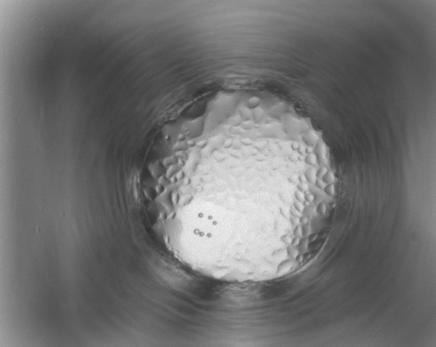 X0000060770094200512011623