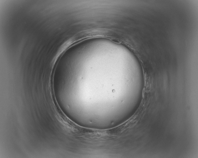 X0000060770099200512011622