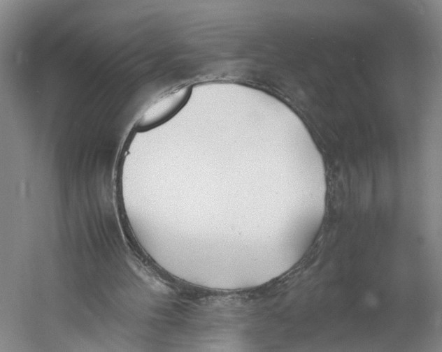 X0000060770100200512011622