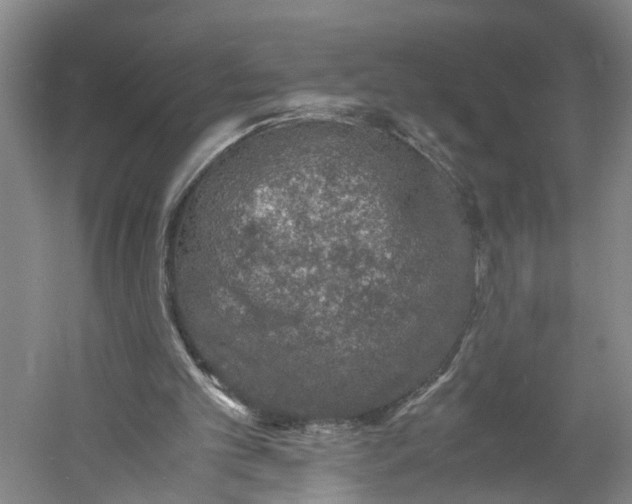 X0000060770101200512011622