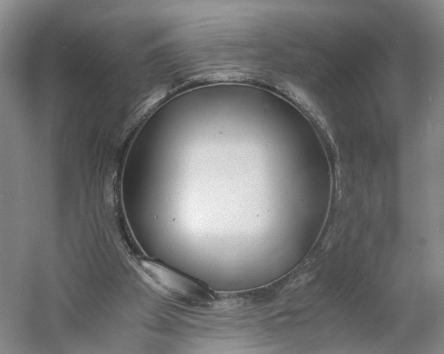 X0000060770105200512011622