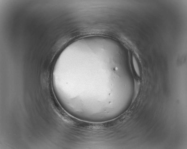 X0000060770107200512011622