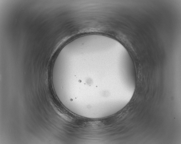 X0000060770108200512011622