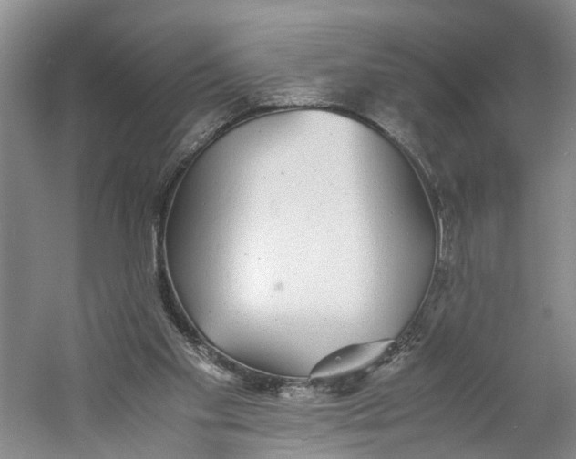 X0000060770109200512011622