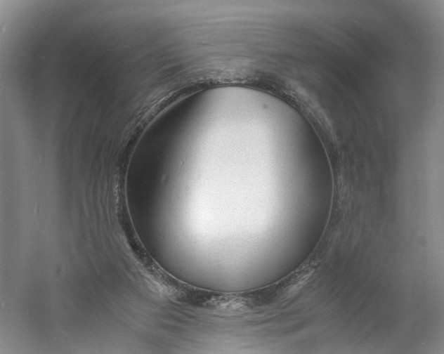 X0000060770113200512011622