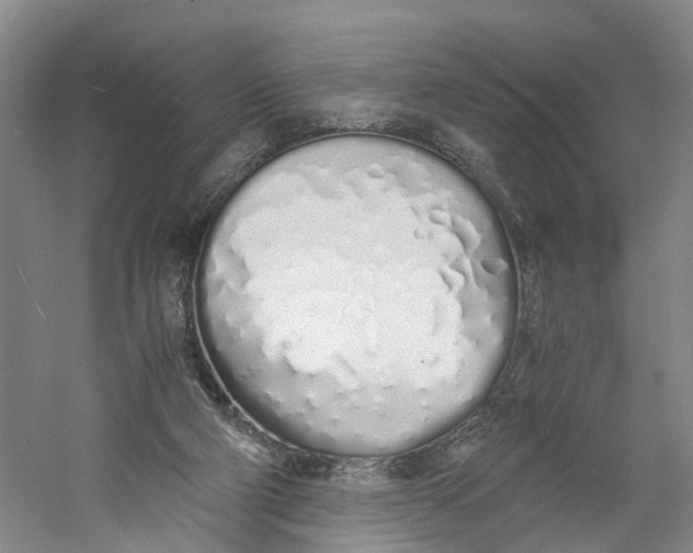 X0000060770114200512011622