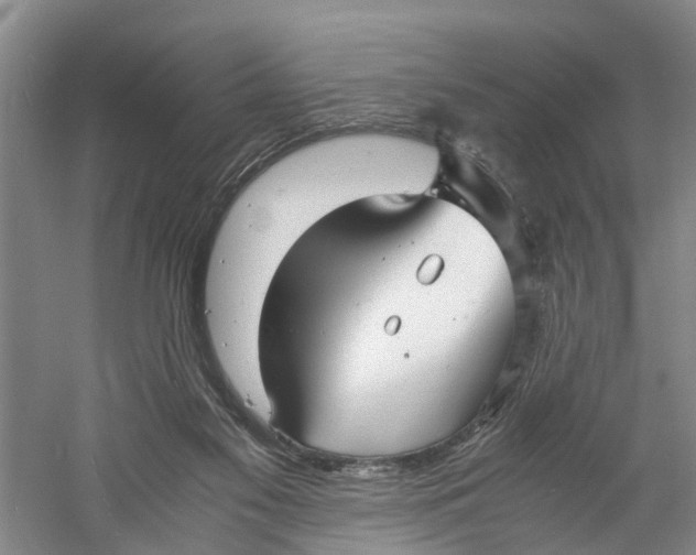 X0000060770117200512011622