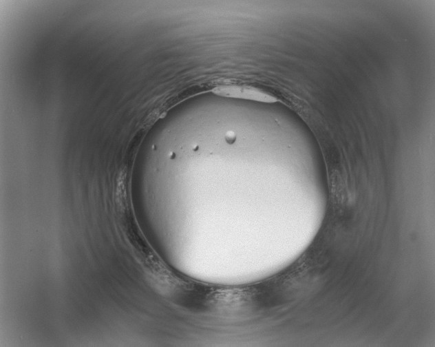 X0000060770127200512011622