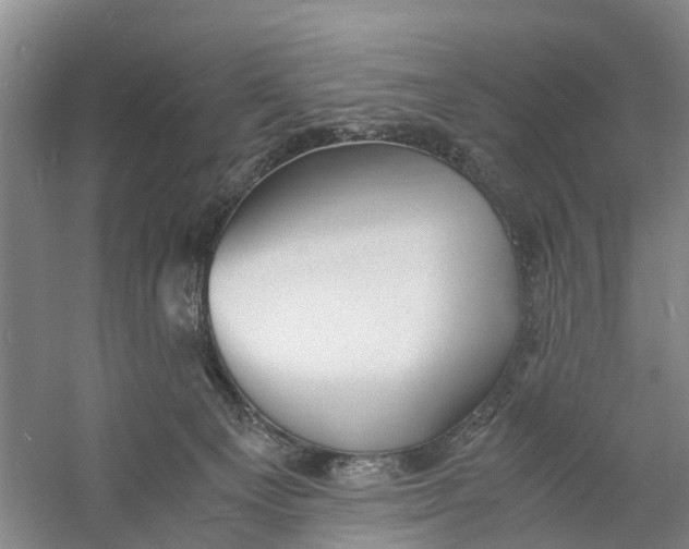 X0000060770129200512011622