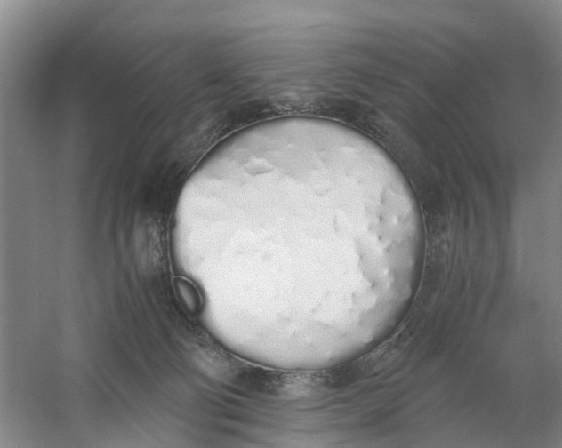 X0000060770130200512011622