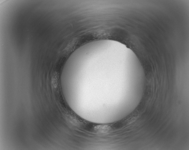 X0000060770133200512011622