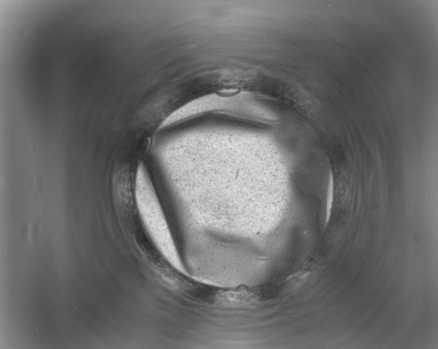 X0000060770137200512011622