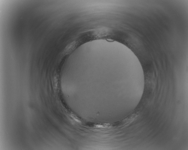 X0000060770139200512011622