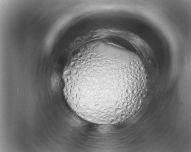 X0000060770142200512011622