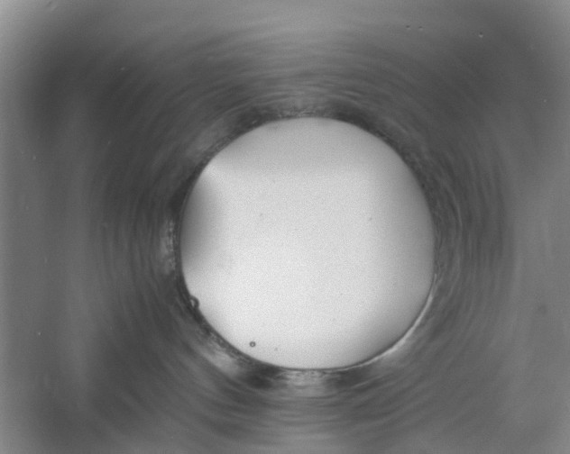 X0000060770144200512011622