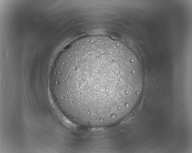 X0000060770145200512011621