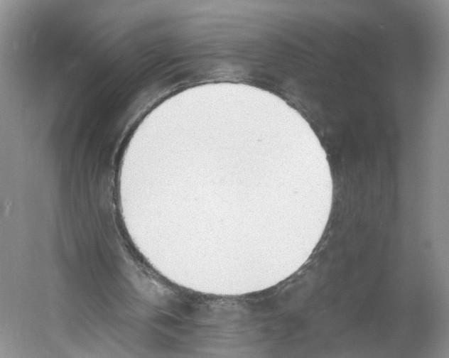 X0000060770146200512011621