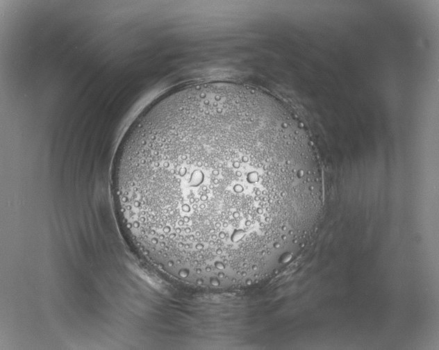 X0000060770147200512011621