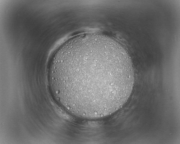 X0000060770149200512011621