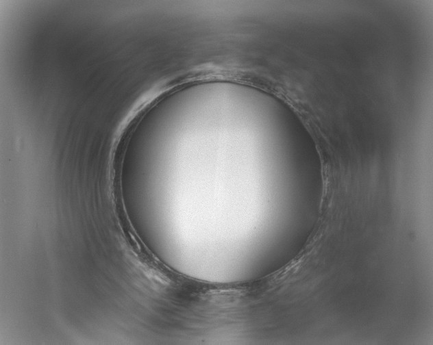 X0000060770150200512011621