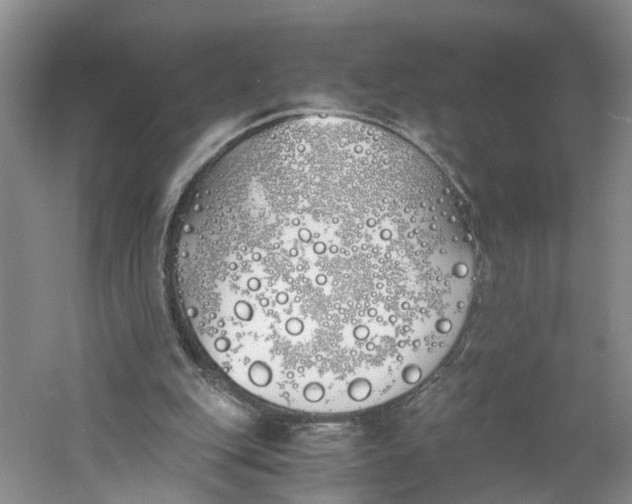 X0000060770151200512011621