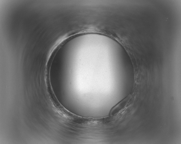 X0000060770152200512011621