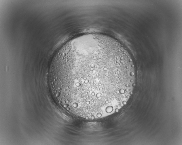 X0000060770153200512011621