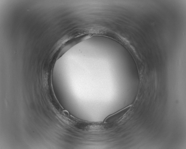 X0000060770154200512011621