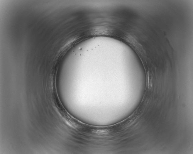 X0000060770157200512011621