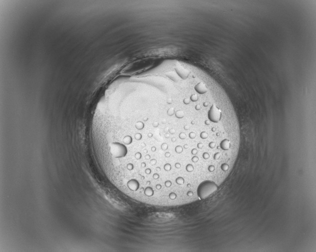 X0000060770159200512011621