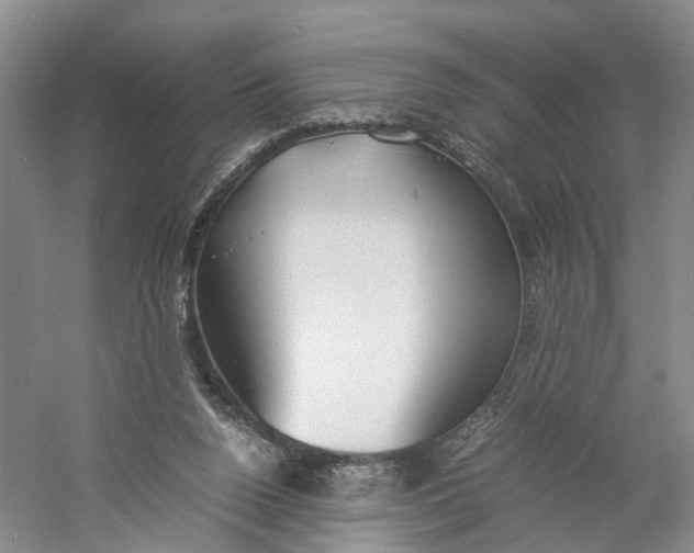 X0000060770160200512011621