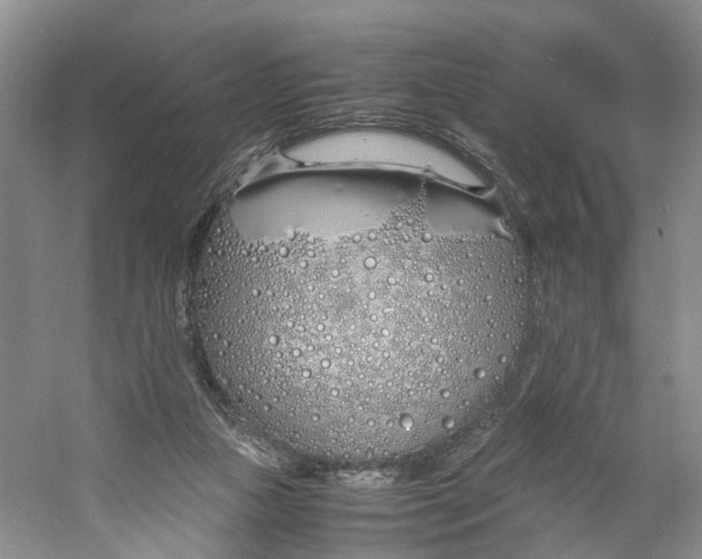 X0000060770161200512011621