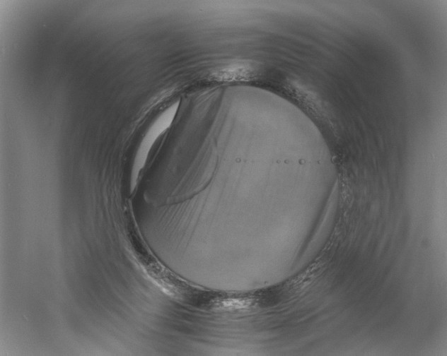 X0000060770163200512011621