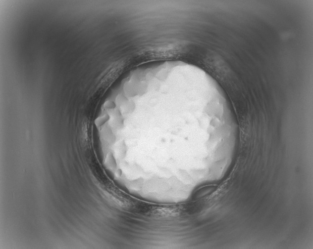 X0000060770166200512011621