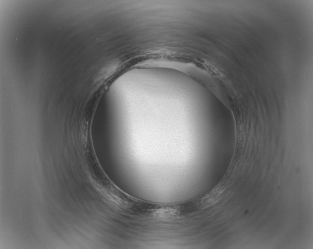 X0000060770168200512011621