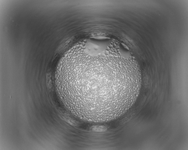 X0000060770169200512011621