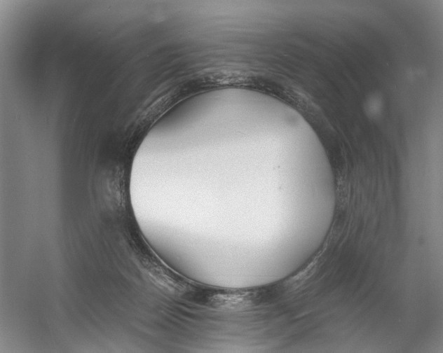 X0000060770170200512011621