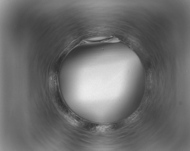 X0000060770172200512011621