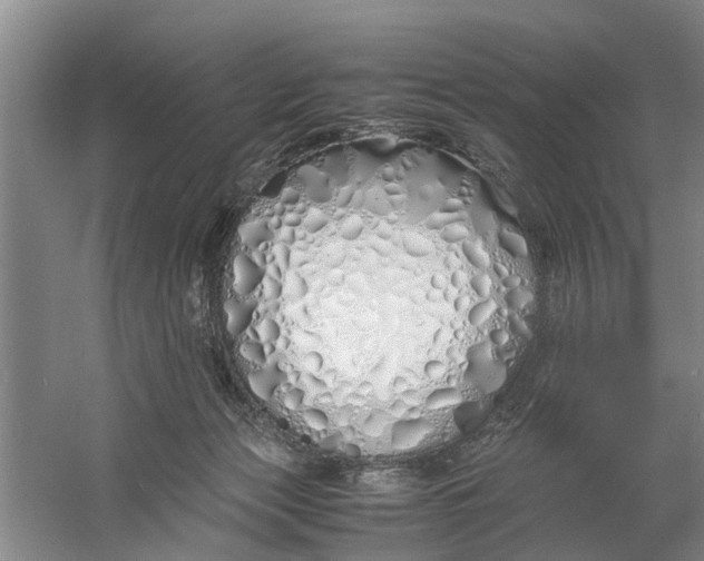 X0000060770173200512011621