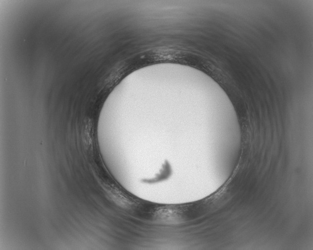 X0000060770174200512011621