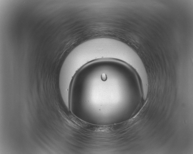 X0000060770175200512011621