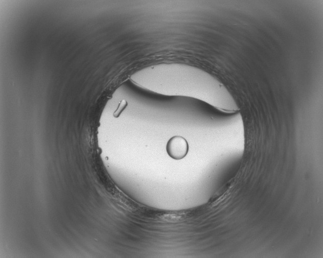 X0000060770176200512011621