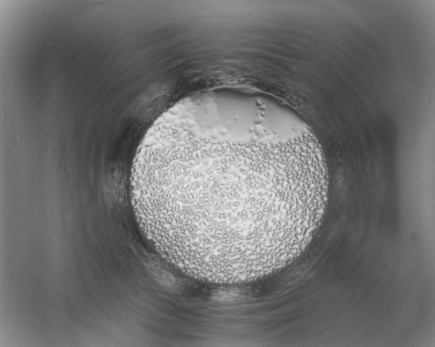 X0000060770177200512011621