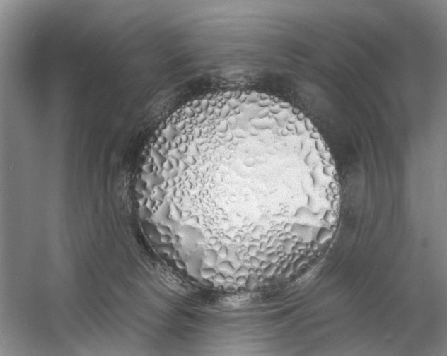 X0000060770178200512011621