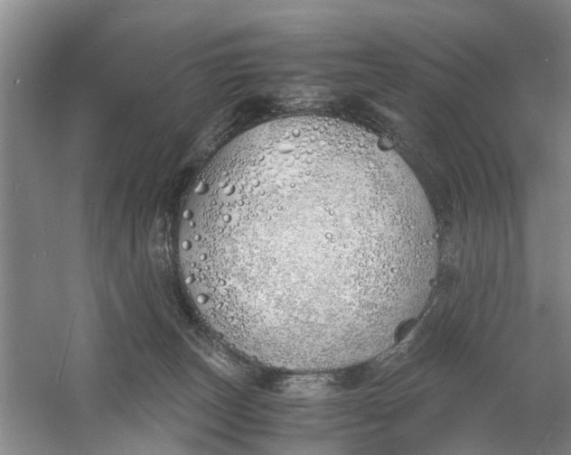 X0000060770179200512011621